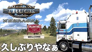 🇺🇸久しぶりにアメリカぁ！ 2025年3月15日【American Truck Simulator】ラバルル芸夢 JP/EN