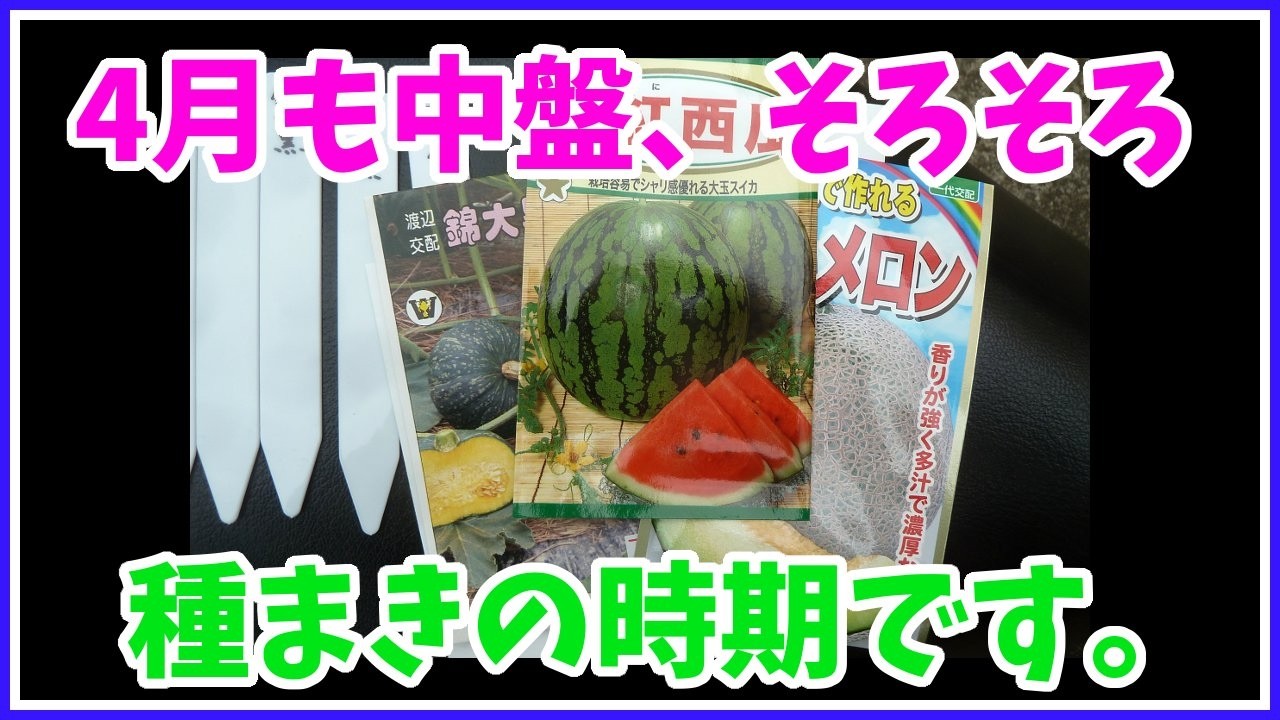 野菜園芸大百科　メロン・スイカ・カボチャ 4・5巻 maxresdefault.jpg