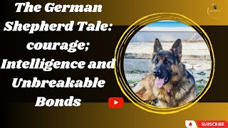 German Shepherds: the Footsteps of Greatness exploring the Legacy by Animals World 4k 3,049 views 11 months ago 21 minutes