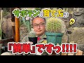 教えて?真鍋さん!サボテン解説~育て方初級編~