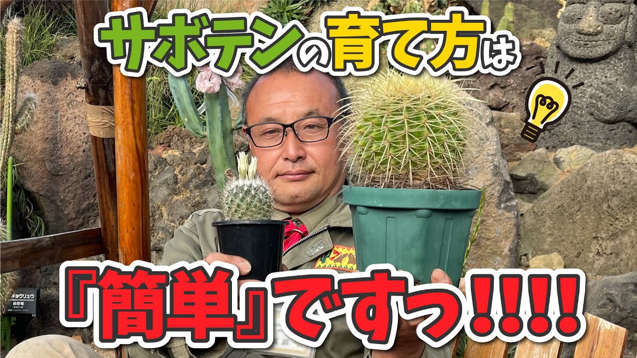 教えて？真鍋さん！サボテン解説～育て方初級編～