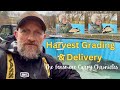 “Grading &amp; Delivering Fish at Fensmere Fish Farm | Behind the Scenes”