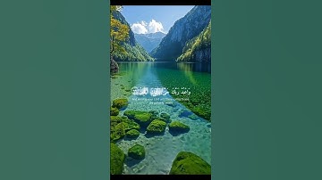 #قرآن #راحة_نفسية #quran #تلاوة_خاشعة #لايك #اكسبلور #shortvideo #