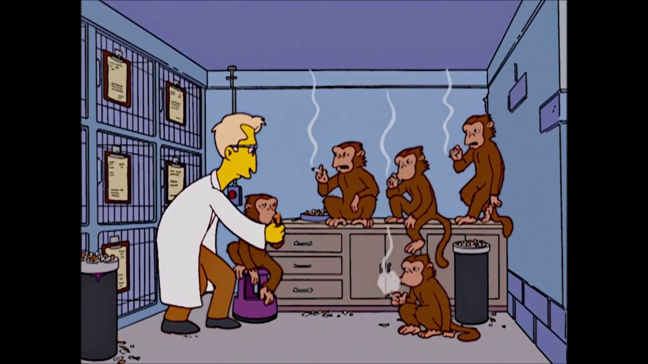 Simpson 14x08 Monos en Laboratorios YouTube