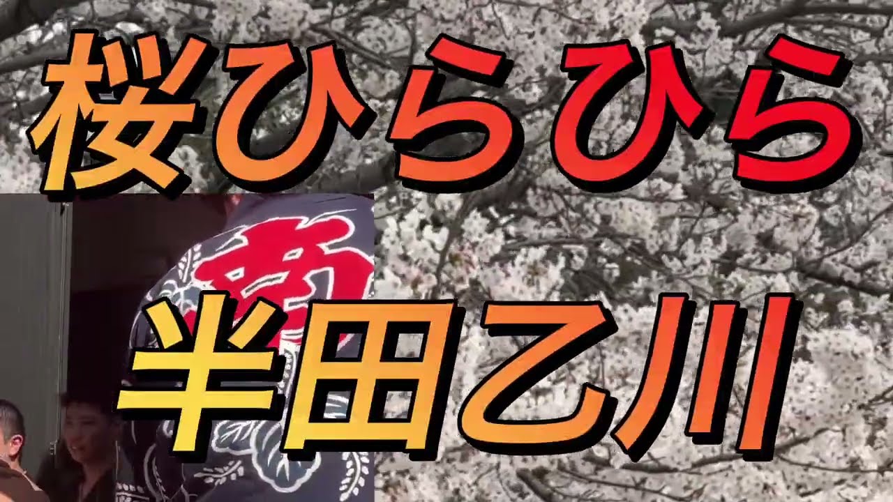 【桜と祭りの出会う町】