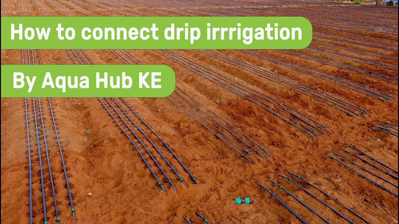 How to connect drip irrigation system  step by step