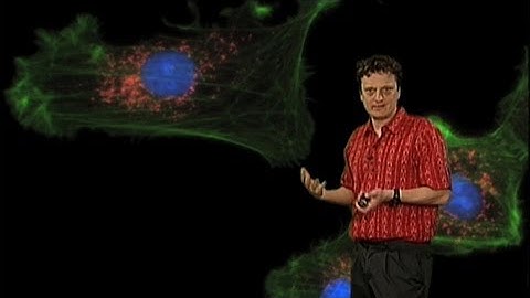 Nico Stuurman (UCSF): Fluorescence Microscopy