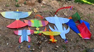 ว่าว 6 ตัว หาดูยาก 2 ตัว! จะเป็นยังไง? | 6 kites, 2 hard to find #ฝากติดตาม #ช่องยูทูป #นนท์ทาจิ