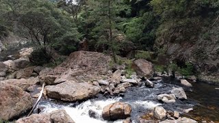 Cascade and gold mining - NZ