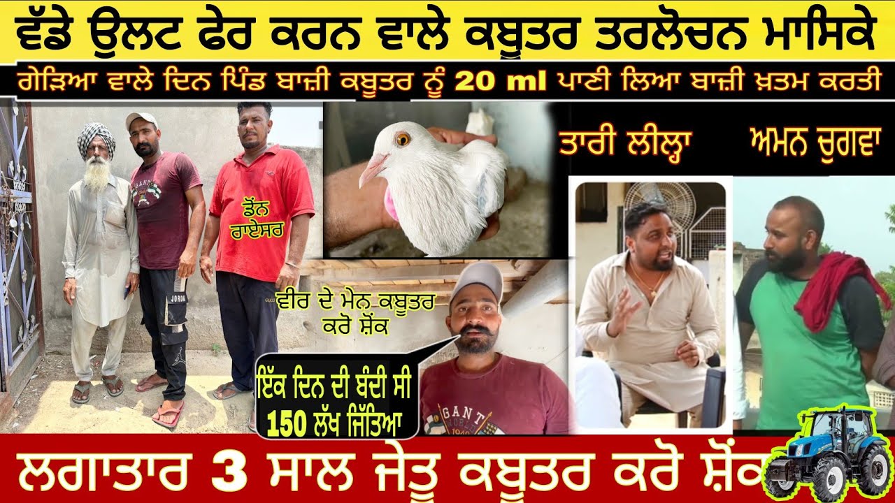 ਵੱਡੇ ਉਲਟ ਫੇਰ ਕਰਨ ਵਾਲੇ ਕਬੂਤਰ/ ਤਰਲੋਚਨ ਮਾਸਿਕੇ / ਘਰੇ ਬਾਜ਼ੀਆਂ ਖ਼ਤਮ/kabootar bazi