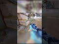 The BEST PP-19 Bizon gunsmith!🔥🔥