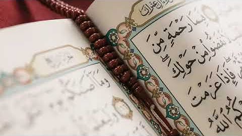سورة المنافقون : الشيخ ياسر الدوسري . Surat Al Munafiqun : Sheikh Yasser Al Dossari