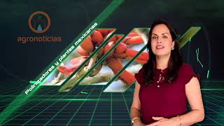 AGRONOTICIAS PROGRAM 503