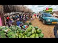 Rural market day in Assahoun village . Cheapest mass food market in Togo west Africa 🌍