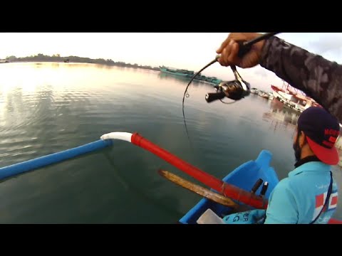 Video Viral Penangkapan Ikan Mas Seberat 15 Kg Ditemukan Di Danau Toba Youtube