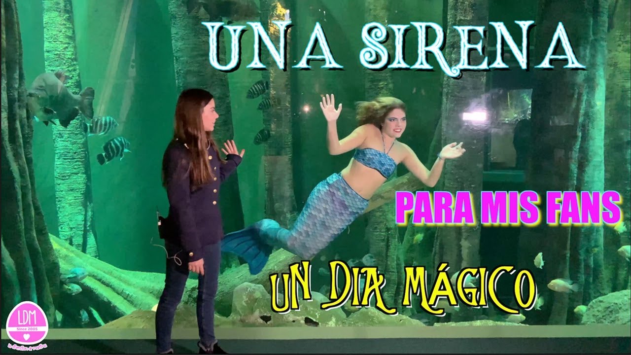 Ciudad De Las Sirenas Programa De Television