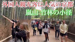 2024年5月19日 外国人観光客に人気の京都 嵐山竹林の小径を歩く Walking the bamboo forest trails of Arashiyama 【4K】