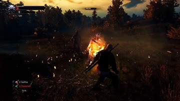 - Very Soft Targeting - for Witcher 3