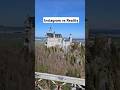 Neuschwanstein Expectation Vs Reality