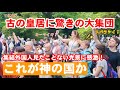 京都御所に驚きの大集団やって来た！外国人も集結見たことない光景に感激「これが神の国か」