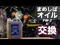 【モトブログ】まめしば FM-2 にオイル交換【ゼットワン】