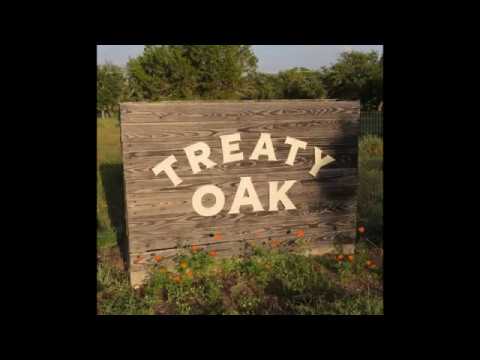 Video: Gli Esperimenti Di Treaty Oak Distilling Si Scatenano In Texas