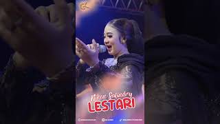 Download Lagu Jelas aku butuh atimu, butuh awakmu, butuh perhatianmu, ora butuh duwitmu #shortsclip ##cover MP3 Download Lagu Jelas aku butuh atimu, butuh awakmu, butuh perhatianmu, ora butuh duwitmu #shortsclip ##cover MP3