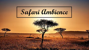 SAFARI AMBIENCE | Background music in the wilderness