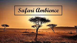 SAFARI AMBIENCE | Background music in the wilderness
