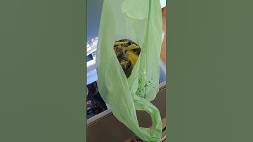 How to get rid of food waste in an easy clean way each week.