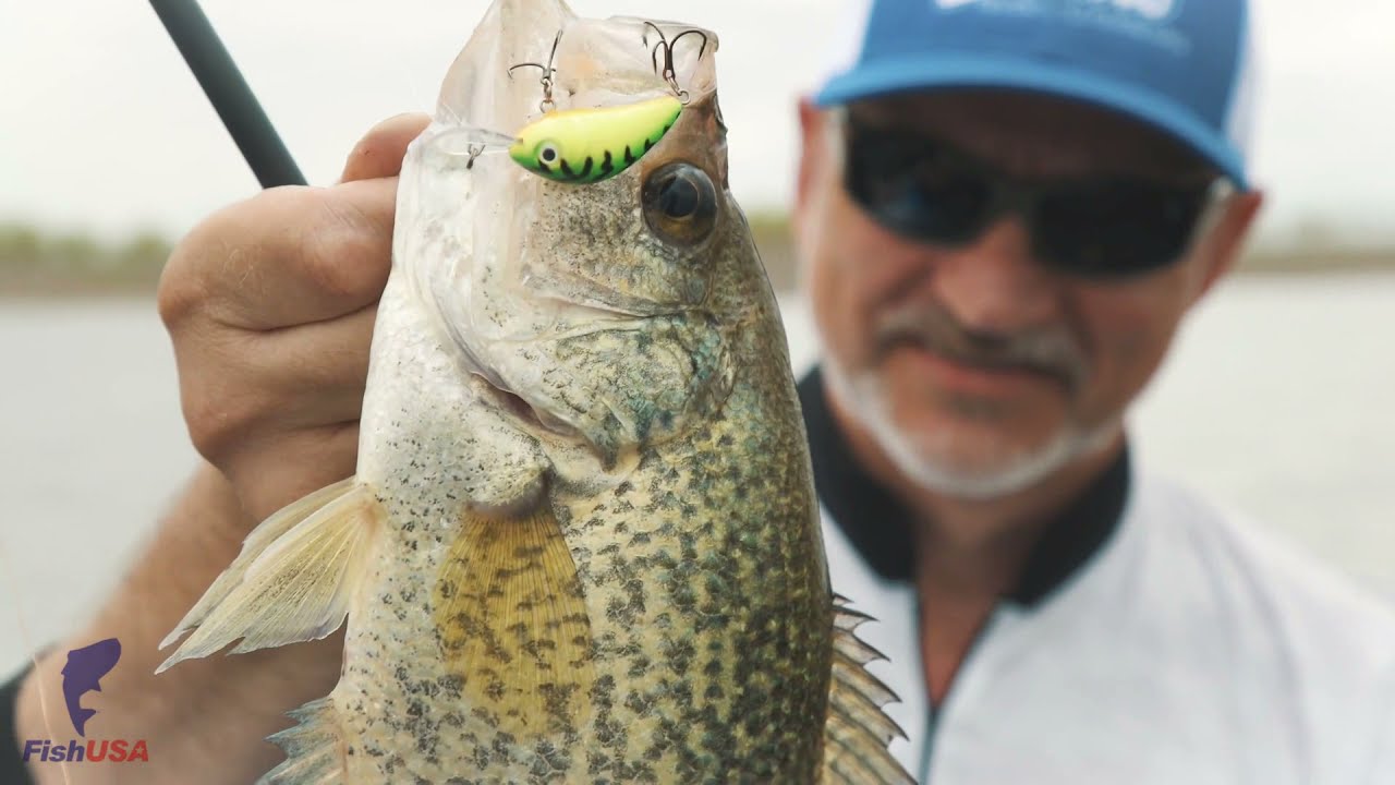 Salmo Rattlin' Hornet Floating Crankbait