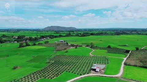 Bđs Bình Thuận - HÀM THUẬN BẮC - BÌNH THUẬN