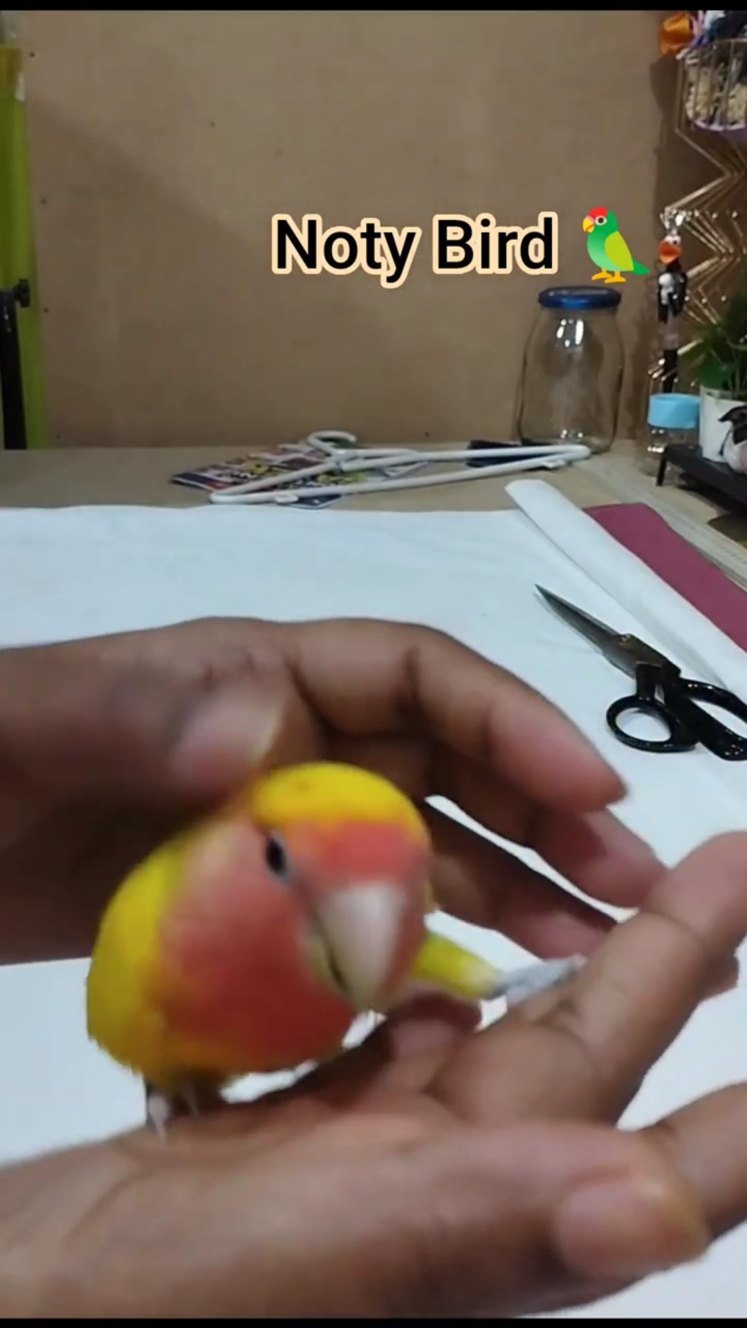 സ്പെഷ്യൽ സ്റ്റോറീസ് ✍ - ShareChat