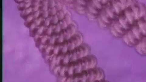 A MUST see for creationists!