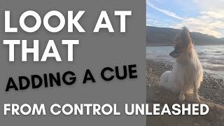Look at That Game - Adding a Cue (Jamie Demo)