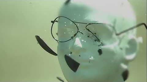 Edge Eyewear vs  22 Rifle   Slow Motion Series