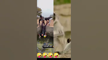 Maja Aaya Shorts Ytshort Youtubeshorts Maja Aaya 