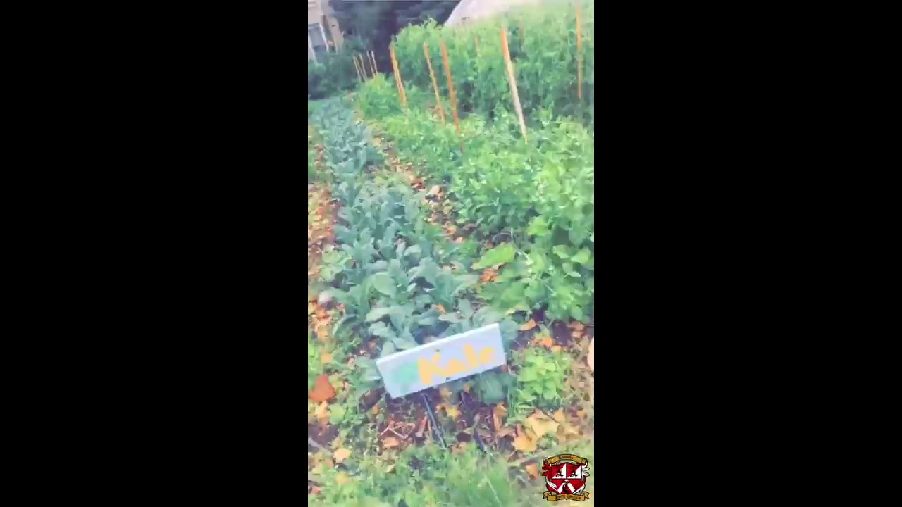 Lambert Legacy Charities Neighborhood Foods Farm