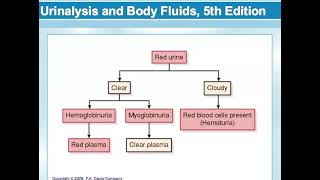MLT 111, Unit 1, Lecture 3