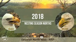 Decorah North Nest | Recap of the 2018 nesting season