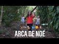 Arca de Noé | Noah’s Arc kids song with moves🎵🦁🙊🦋🐨🎶