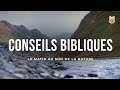 Conseils bibleques  bible aux sons de la nature   en direct