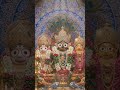जय जगन्नाथ भगवान – दिव्य रथ यात्रा के स्वामी 🙏✨#Jagannath #JaiJagannath #Bhakti #HinduGod