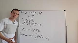 Why We Need the Normalization Condition in Quantum Mechanics