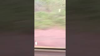 VID-20250907-WA0001.mp4