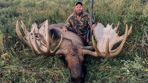 74" MEGA GIANT!!! Solo Alaskan Moose Hunt - Stuck N The Rut 211