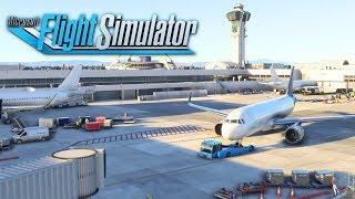 Nintendo Flight Simulator ( Microsoft flight simulator with WII Sports  Resorts music ) - YouTube