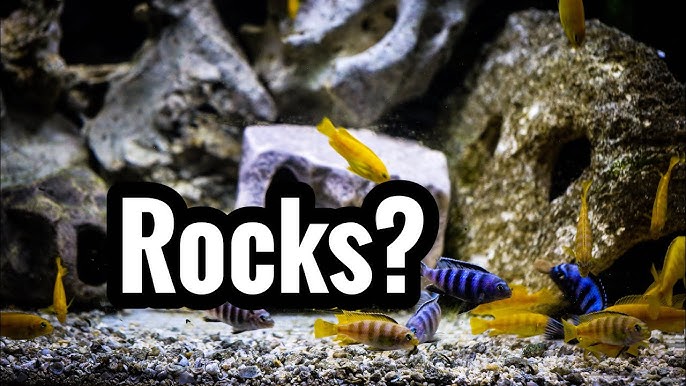 How to Hardscape an African Cichlid Tank 