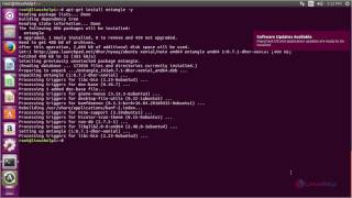 How To Install Entangle On Ubuntu 16.04