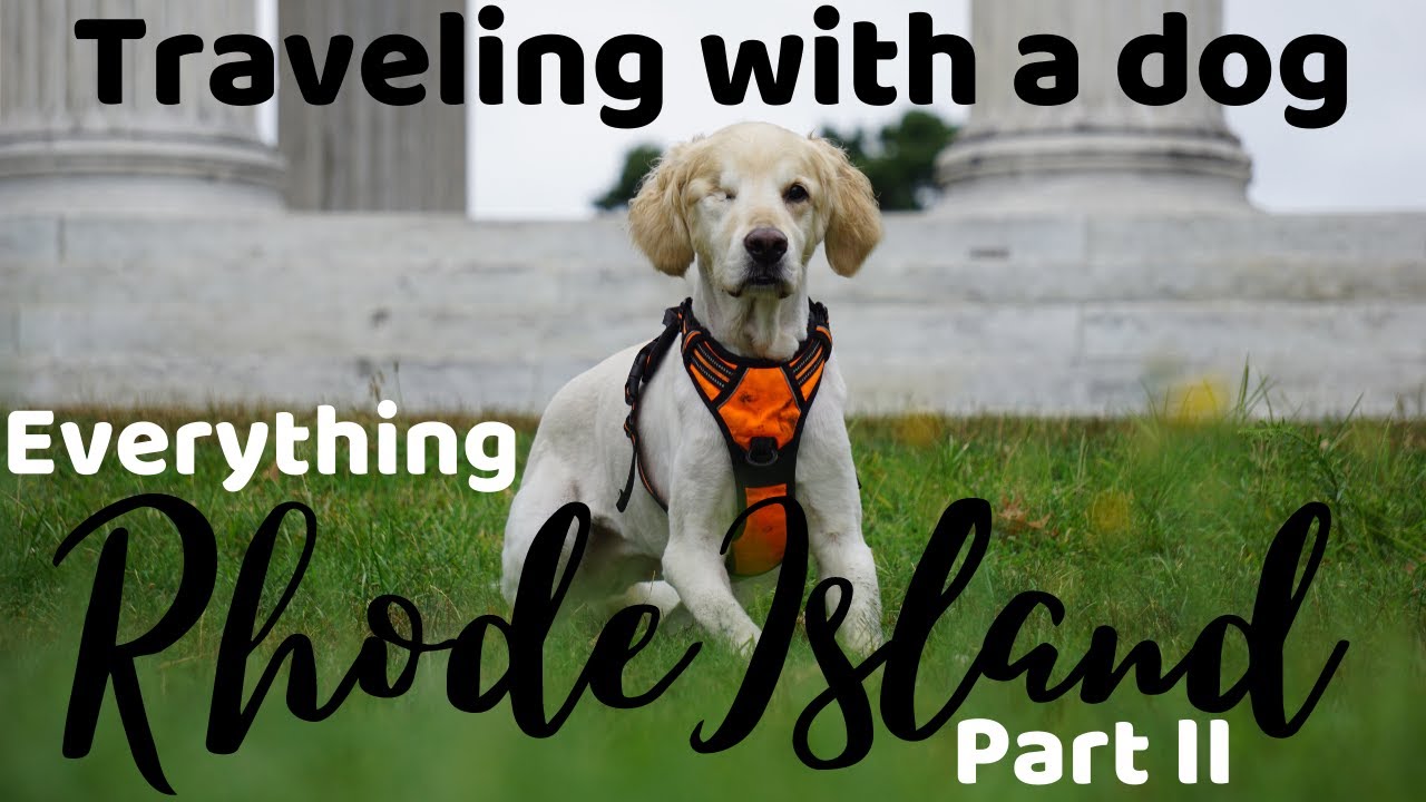 My dog falls in a TOXIC pond! Rhode Island Guide Part 2 YouTube